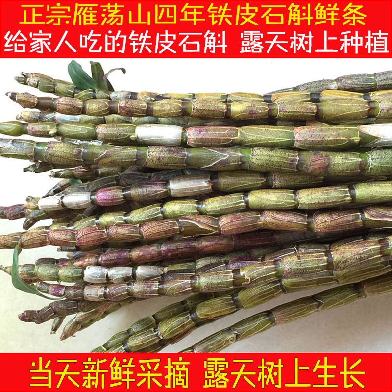 Yueqing Yandang Mountain fresh dendrobium fresh strip dendrobium 500g four years non-Huoshan Yunnan dendrobium maple bucket