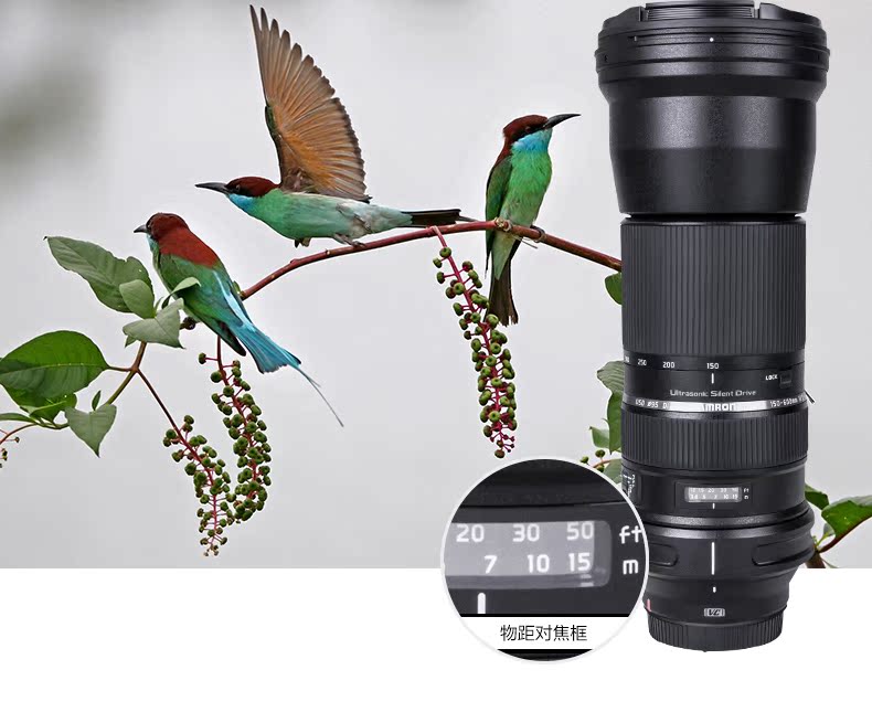 Tamron SP 150-600mm F / 5-6.3 Di VC USD A011 ống kính máy ảnh zoom zoom