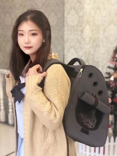 Breathable pet bag cat bag portable pet bag cat backpack cat bag foldable dog bag cat backpack