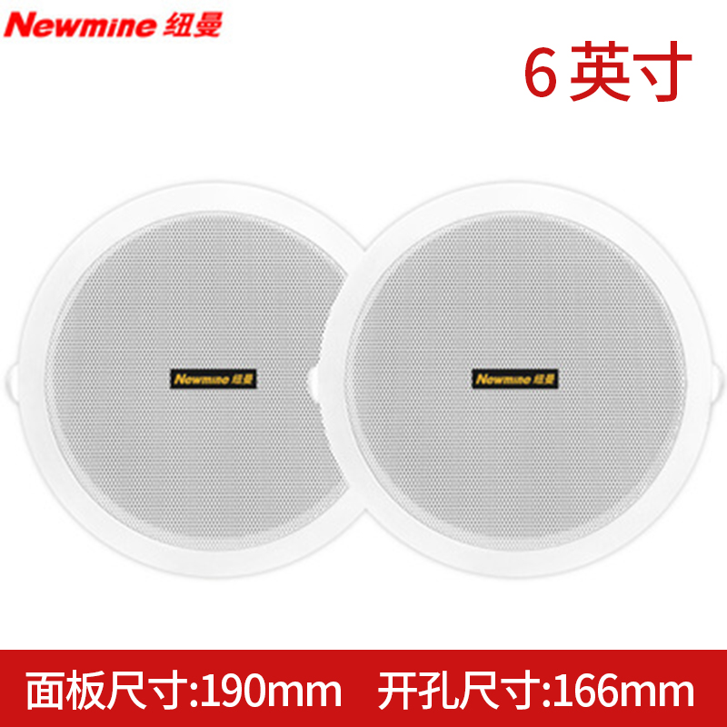 Newman G-1 Bluetooth Suction Top Speaker Acoustics Home Conference Shop Background Music Radio 2 Only Loaded Suspended Ceiling Speakers