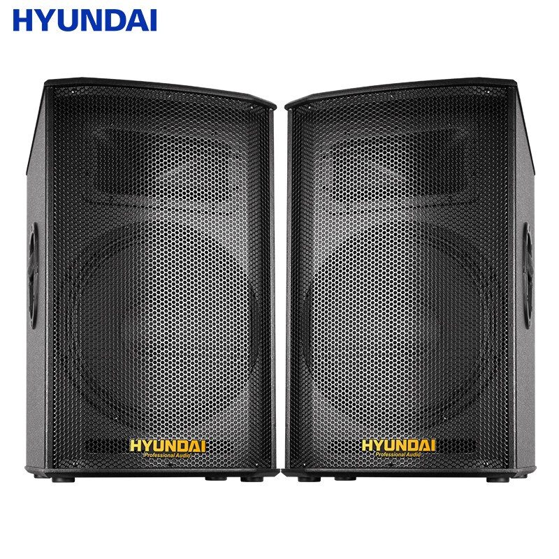 Modern ZY12 ZY-15 ZY215 home theater KTV audio 12 inch 15 inch speaker conference stage classroom