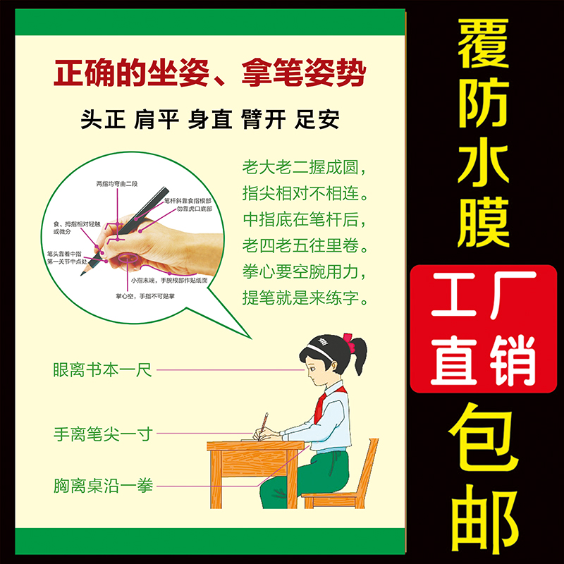 Standard sitting position for elementary school students correctly holding pen and writing posture method picture poster wall sticker class arrangement wall chart
