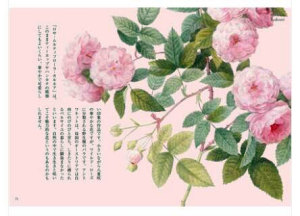 【外图原版】进口日文 日本原版 宮廷画家 雷杜德与玫瑰的故事