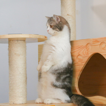 Mr Cat make up the shipping fee Make up the difference in the shipping fee Make up the difference in the shipping fee