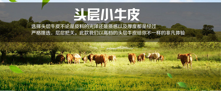 Sac pour homme - Ref 54119 Image 19