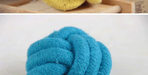 Nhiều sản phẩm vật nuôi Chó đồ chơi cung cấp Teddy Satsuma Golden Retriever con chó mol mol bông dây bóng mèo đồ chơi cắn