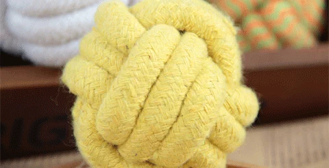 Nhiều sản phẩm vật nuôi Chó đồ chơi cung cấp Teddy Satsuma Golden Retriever con chó mol mol bông dây bóng mèo đồ chơi cắn banh đồ chơi cho chó