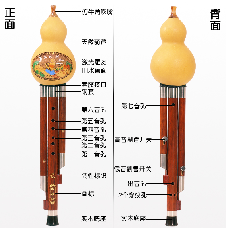 Chơi cucurbits chuyên nghiệp Yunle Phường C xuống b có thể điều chỉnh bầu tự nhiên bằng gỗ đỏ ống nhạc cụ người mới bắt đầu Vân Nam - Nhạc cụ dân tộc cổ cầm