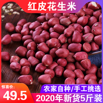 Yunnan red-skinned peanuts new goods farmers self-produced small peanuts shelled four-grain red Peanuts 500g * 5