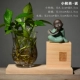 Bình thủy tinh Zen Trung Hoa thủy canh retro hoa chèn hoa khô gốm hoa trang trí chậu hoa xanh - Vase / Bồn hoa & Kệ chậu cây xi măng