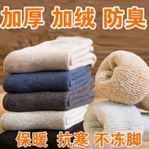 Socks mens middle tube winter cotton stockings moisture-proof sweat-absorbing Terry in autumn warm and thick plus velvet towel socks