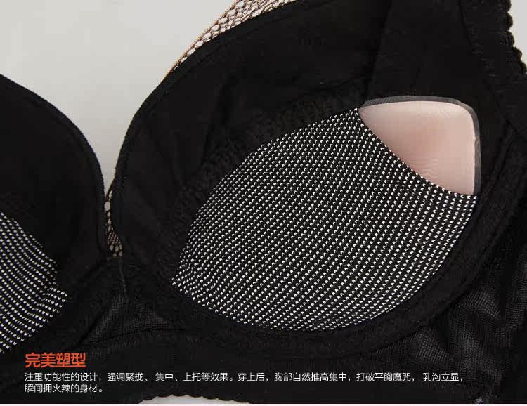 Coques pour soutien-gorge MOLATOIRE MTXD-01 - Ref 809850 Image 7