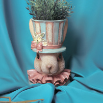 May a self-supporting creative pastoral style cute Peter rabbit decorative flower pot Alice Rabbit jewelry storage box
