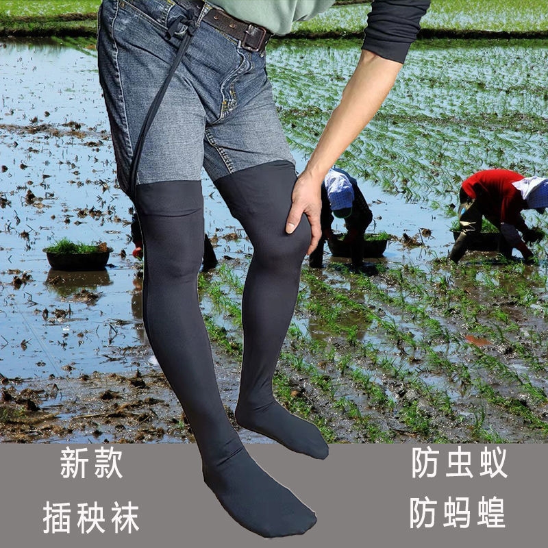 Shimoda seedling transplanting water socks high elastic protective socks lengthened paddy field mud men and women anti-insect ant leeches socks paddy field socks
