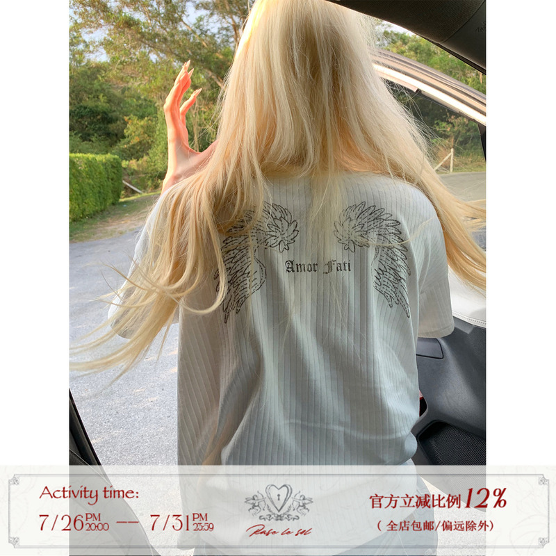 Rase Le Sol'Lost Paradise' Wing Print Ribbed T-Shirt American Style Loose Short-Sleeved Top