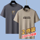 Summer Pure Cotton Short-Sleeve T-Shirt for Men, Round Neck, Trendy Printed Ins-Style Top, Large Size Versatile Half-Sleeve Men's T-Shirt, Base Shirt