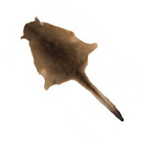 Australia imports the whole piece of kangaroo fur one-piece seat furniture decoration high-end sofa carpet car cushion