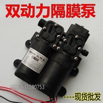12V Diaphragm Pump Twin-powered water pump agricultural electric sprayer double pump high-pressure car washer retrofit