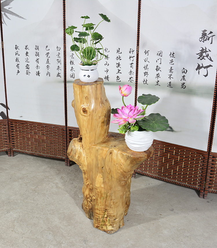 Rễ khắc đôi hoa đứng vững chắc cây gỗ gốc phòng khách ban công sàn bể cá khung sáng tạo treo cây cảnh bonsai gốc trang trí - Các món ăn khao khát gốc bàn ghế gốc cây khủng	