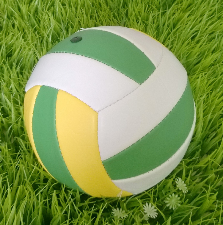 Ballon de volley - Ref 2008368 Image 4