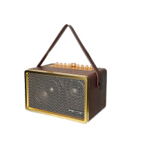 Sound partner K8 speaker 60W electric blowpipe guitar playing and singing karaoke Internet celebrity outdoor live broadcast internal recording portable speaker
