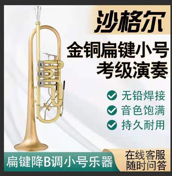 Original Shager trumpet instrument flat key B-flat Shager 21 performance performance teacher adult (imitation)