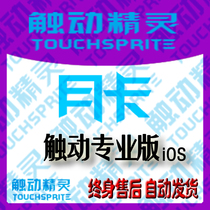  Touch Wizard) Professional Version) Monthly Card)24H automatic delivery)Activation code)Authorization code)31 days)Yiyi