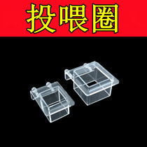 Fish tank feeder acrylic fluorescent fixed-point feeding anti-drift feeder feeding circle fish food artifact sea tank water