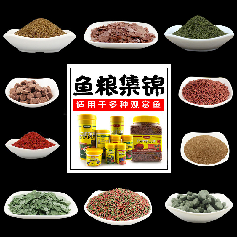 Fish food small fish feed spirulina tropical fish guppy fighting fish koi parrot fish coloring grain juvenile fish patch