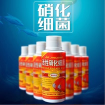 Fish tank nitrification bacteria liquid live bacteria aquarium nitrifying bacteria water tank water purification digestive bacteria value