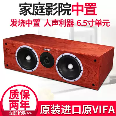 PAIYON P2C fever mid-set hifi Home Theater Speaker original imported vifa Horn