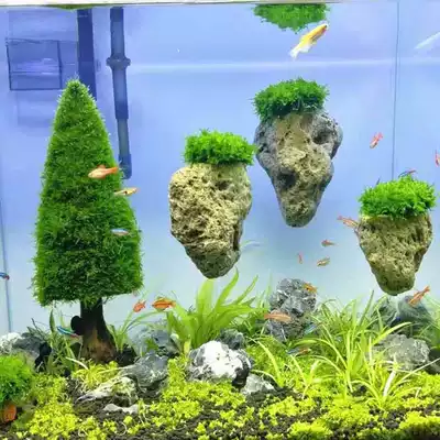 Natural Moss water plant suspended stone Avatar floating stone micro-landscape Ornamental fish tank grass tank landscaping