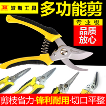 Persian pruning fruit tree branches scissors Botanical Garden Art seedling Wood scissors multifunctional stainless steel household labor-saving scissors