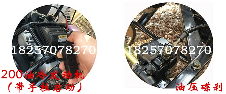 Lớn dành cho người lớn 200CC kart ATV xe địa hình nông dân địa điểm xe bốn bánh xăng xe địa hình - Xe đạp quad xe máy điện cho trẻ em