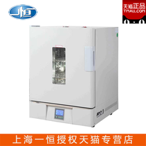 Shanghai Yiheng BPG-9056A BPG-9106A BPG-9156A Precision Blow Drying Chamber