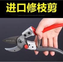 Sagawa Tin 8288 imported branch scissors fruit branch scissors horticultural pruning branch scissors garden scissors garden scissors