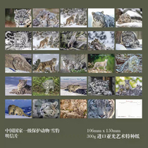 2024 China national protected animal snow leopard postcard set of 24