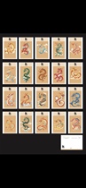 2024 Chinese Dragon Year of the Dragon Zodiac Dragon Postcards Set of 20