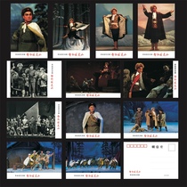 2024 Outsmarting Tiger Mountain Postcard Set of 12