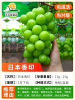 12-летние саженцы (японская ароматная печать) несут 10 килограммов в этом году