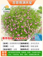 Полный Tianxing 1000 зерна удобрений+порошок корня