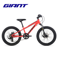 Студент подросток автомобиль giant捷安特xtc 20-d铝合金20寸儿童120-135cm变速青少年自行车