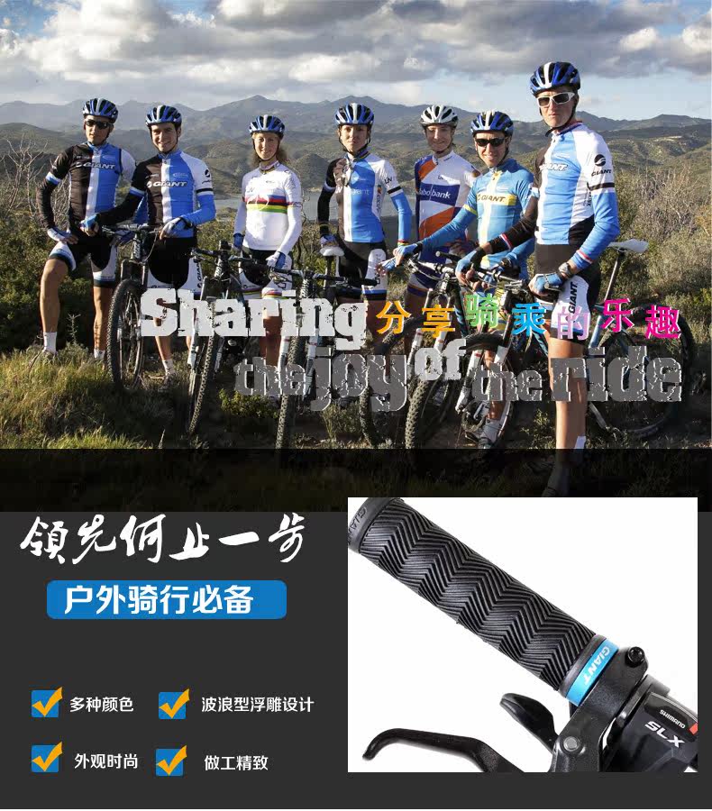 Poignées de vélo GIANT - Ref 2344240 Image 6