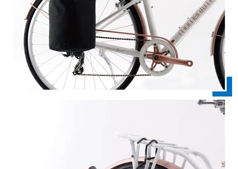 Panier pour vélo GIANT en toile - Ref 2257138 Image 15