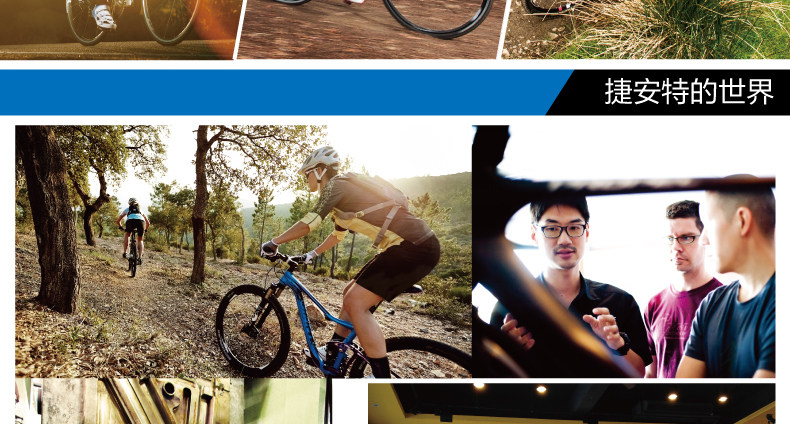 Poignées de vélo GIANT - Ref 2338823 Image 14