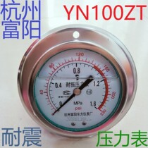  Hangzhou Fuyang Dongfang Instrument YN100ZT axial belt side high pressure shock resistant oil pressure gauge complete specifications