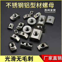 Stainless steel 304 nut T-type slider flange shrapnel elastic female 20 30 40 45 aluminum special accessories