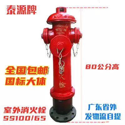 Direct selling Taiyuan 4 inch fire valve fire extinguishing equipment DN100 outdoor ground fire hydrant SS10065