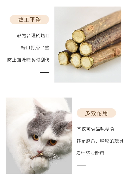 ưu tú Yili Mutian Polygonum gậy cho mèo mọc răng gậy làm sạch gậy cho mèo snack catnip mèo con mọc răng - Đồ ăn nhẹ cho mèo