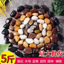 Cobblestone stone Natural small stone Rough stone Fish tank Garden landscaping Rain stone Paving Courtyard Park stone
